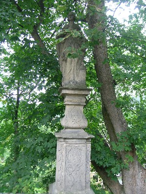DSCN7547