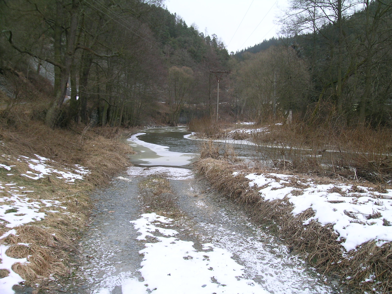 DSCN8463